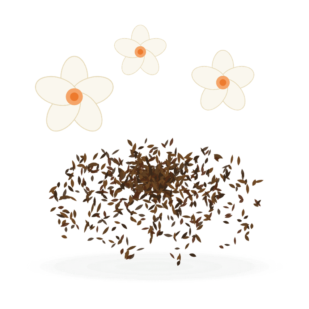 برگ چای با گل بهارنارنج